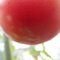 210005_20180328143914_01.JPG