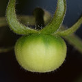 039903_20180115161849_01.JPG