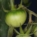 039903_20180115162125_01.JPG