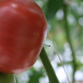 085001_20180605104146_04.JPG