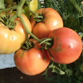 089906_20171117140310_01.JPG