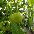 210001_20180206101142_01.JPG