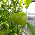 210001_20180206101146_01.JPG