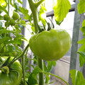 210001_20180206101149_01.JPG