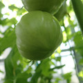 210001_20180213102931_01.JPG