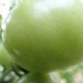 210001_20180219150603_01.JPG