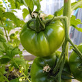 210001_20180226160405_01.JPG