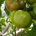 210001_20180313131658_01.JPG