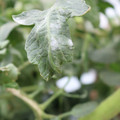 085002_20181016105259_05.JPG