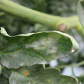 085002_20181016105514_02.JPG