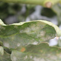 085002_20181016105515_01.JPG