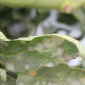 085002_20181016105515_02.JPG