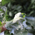 085002_20181025091058_01.JPG