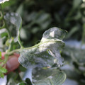 085002_20181025091059_01.JPG