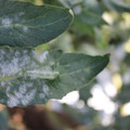 085002_20181025091148_01.JPG