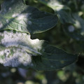 085002_20181029100828_01.JPG