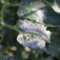 085002_20181029100832_01.JPG