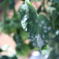 085002_20181101102333_01.JPG