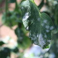 085002_20181101102333_02.JPG