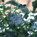 085002_20181101102351_01.JPG
