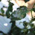 085002_20181101102433_01.JPG