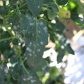 085002_20181101102441_01.JPG