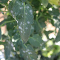 085002_20181101102442_02.JPG