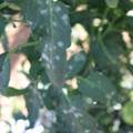 085002_20181101102444_01.JPG