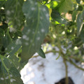 085002_20181101102446_01.JPG
