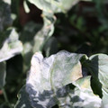 085002_20181101102646_02.JPG
