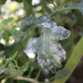 085002_20181101102659_03.JPG