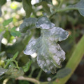 085002_20181101102659_04.JPG