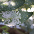 085002_20181101102741_02.JPG