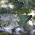 085002_20181101102741_04.JPG