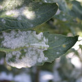 085002_20181101102742_02.JPG