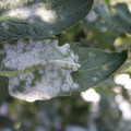 085002_20181101102742_04.JPG