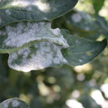 085002_20181101102744_02.JPG