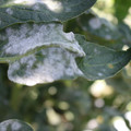 085002_20181101102744_03.JPG
