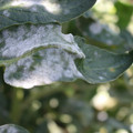 085002_20181101102744_04.JPG
