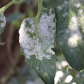 085002_20181101102746_03.JPG