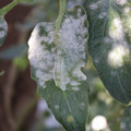 085002_20181101102747_05.JPG