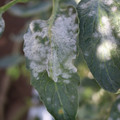 085002_20181101102748_02.JPG