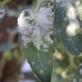 085002_20181101102748_04.JPG
