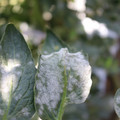 085002_20181101102751_02.JPG