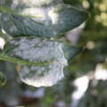 085002_20181101102751_03.JPG
