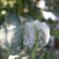 085002_20181101102751_04.JPG