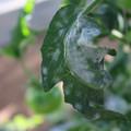 085002_20181101102759_02.JPG