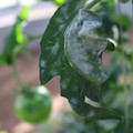 085002_20181101102759_04.JPG