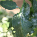 085002_20181101102828_04.JPG
