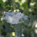 085002_20181101102842_02.JPG